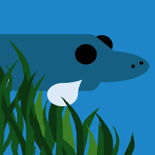 Platypus Game Icon
